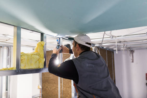 Best Blown-in Insulation in Flordell Hills, MO