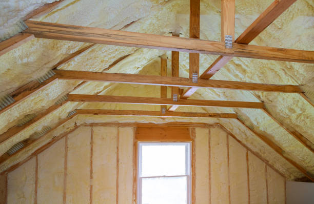 Best Eco-Friendly Insulation in Flordell Hills, MO
