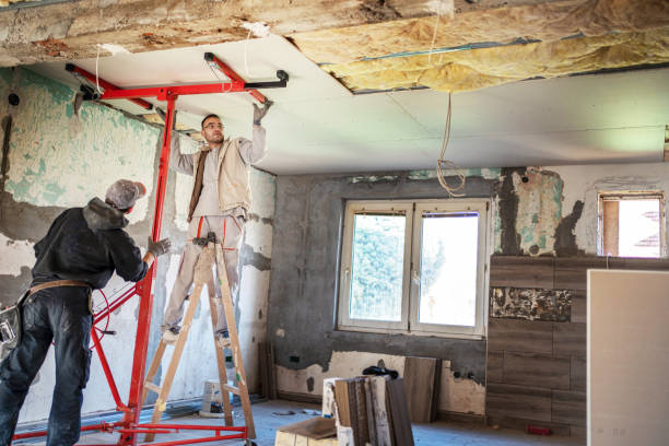 Best Insulation Maintenance and Repair in Flordell Hills, MO